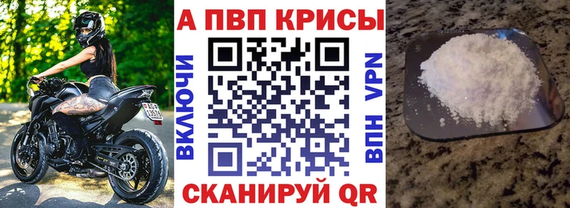 Купить закладки  Новозыбков  Alfa_PVP кристаллы 