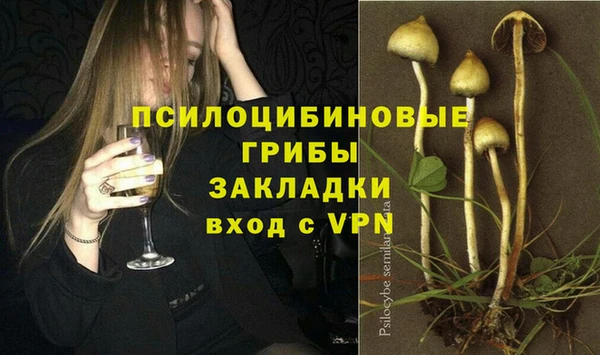 шишки Нефтегорск