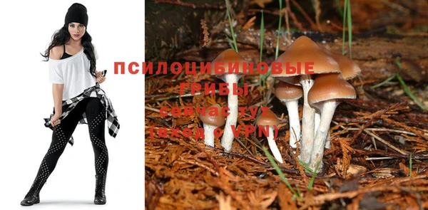 дживик Надым