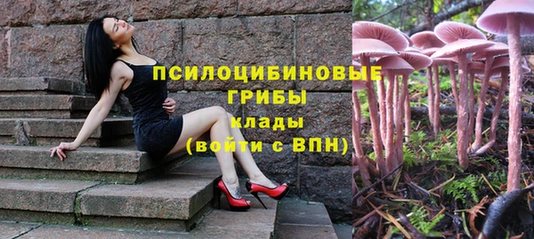 шишки Нефтегорск