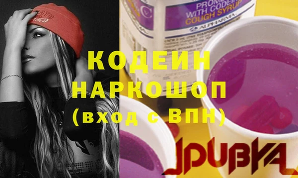 дживик Надым
