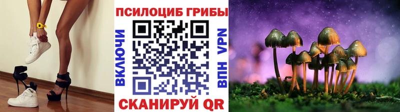 Купить закладки  Новозыбков  Псилоцибиновые грибы Magic Shrooms 